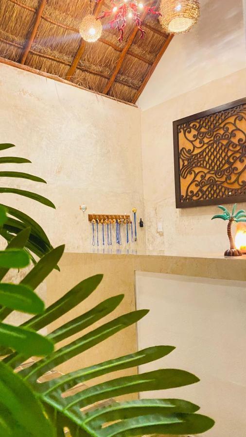Casa Delfines Rio Lagartos酒店 外观 照片